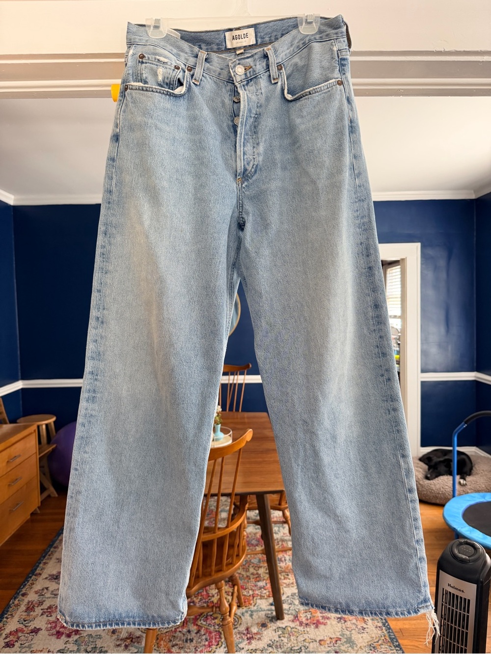 Agolde Low Slung Baggy Jeans